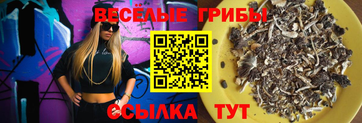 Галлюциногенные грибы прущие грибы  Вход с VPN  Ржев 